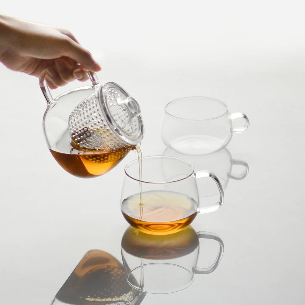 Théière en verre 450 ml avec couvercle et infuseur en plastique