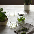 Théière en verre à bouton unique 720ml